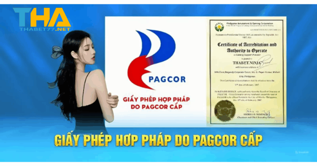 Giấy phép hoạt động Thabet - Bước đệm vững chắc cho trải nghiệm cá cược an toàn và tin cậy