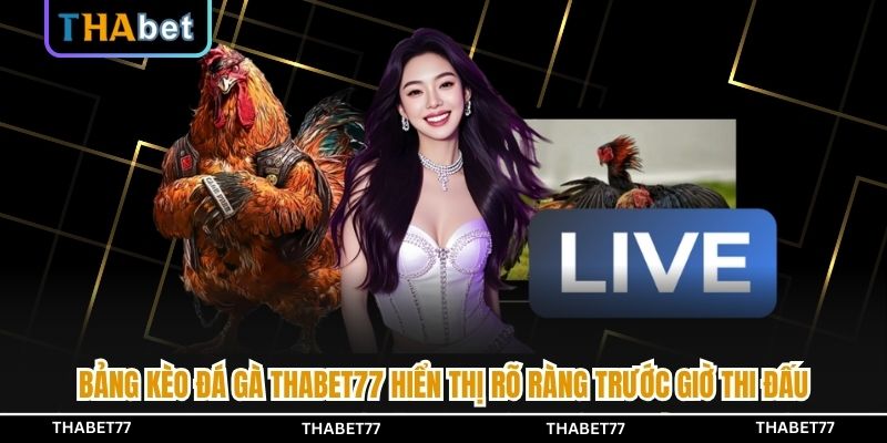 Bảng kèo đá gà THABET77 hiển thị rõ ràng trước giờ thi đấu