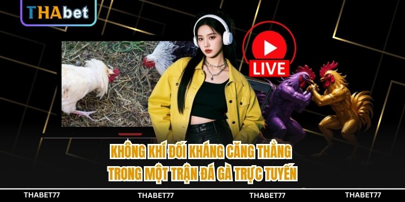 Không khí đối kháng căng thẳng trong một trận đá gà trực tuyến